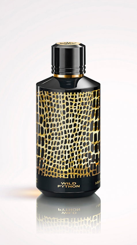 Wild Python - EDP